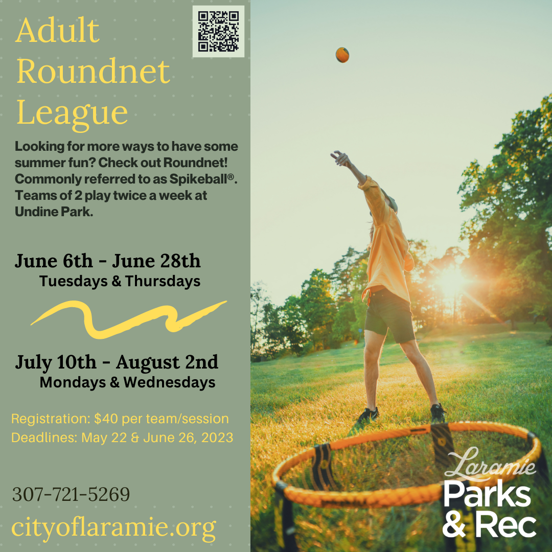 spikeball roundnet flyer