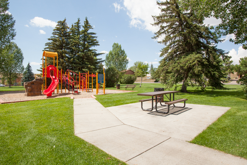 play structure at park with picnic bench